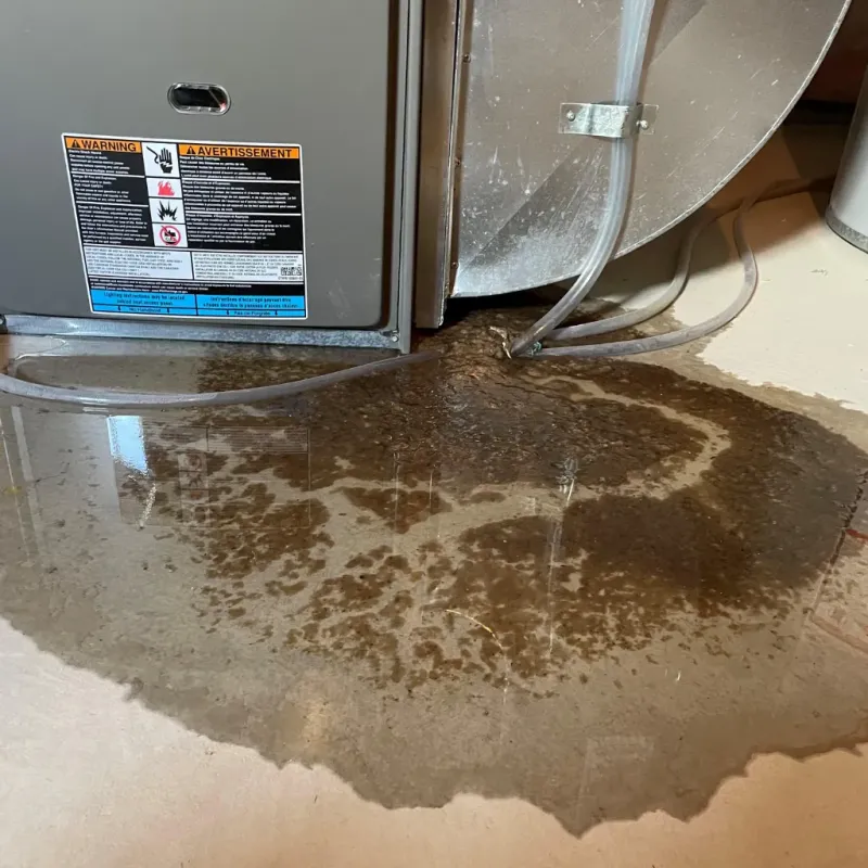 Appliance Leak Cleanup in Murphy, TX